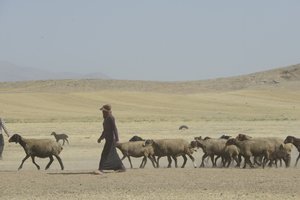 Tende nomadi tra Tamar e Ashkhaneh, Iran 2022