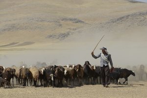 Tende nomadi tra Tamar e Ashkhaneh, Iran 2022