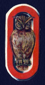 O come Gufo. Decoupage di scarabei sul tema degli animali. Incisione. Serie di 26 cromolitografie a cialda di origine inglese. Editore e illustratore sconosciuti. Fine XIX secolo. Dim: 5,5x3,5cm da Unbekannt