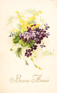 Vecchia cartolina/Violetta e Mimosa