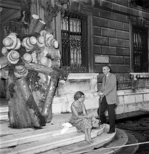 Palazzo Grassi: Dalla Natura all