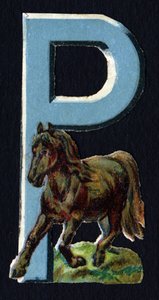 P come Pony. Decoupis di coleotteri sul tema degli animali. Incisione. Serie di 26 cromolitografie waffle di origine inglese. Editore e illustratore sconosciuti. Fine XIX secolo. da Unbekannt