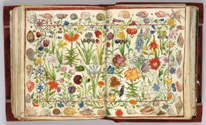 Pagine dall