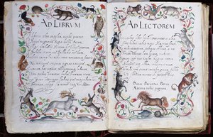 Pagine dall