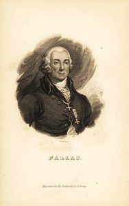 Peter Simon Pallas, esploratore, zoologo e botanico tedesco