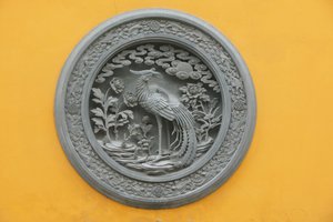 Fenice, Shanghai, Cina