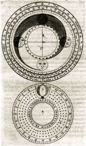 Tavola tratta da 