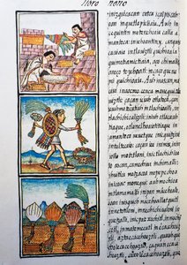 Lavorazione delle piume, testo in nahuatl, da facsimile del manoscritto Storia generale delle cose della Nuova Spagna, noto anche come Codice Fiorentino, di Bernardino de Sahagun