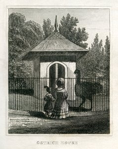 Zoo di Regent