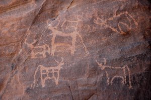 Arte rupestre, Preistoria: Incisione di un gruppo di bovini, uno dei quali in basso a sinistra, nel massiccio di Uweinat, Egitto da Unbekannt