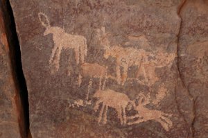 Arte rupestre, Preistoria: Incisione di un gruppo di antilopi e un cane (in basso a destra) nel massiccio di Uweinat, Egitto. (Periodo da 8000 a 3000 anni a.C.)