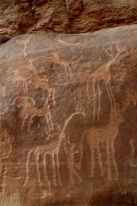 Arte rupestre, Preistoria: Incisione di giraffe, struzzi, pecore, cane e personaggio nel massiccio di Uweinat, Sudan (Karkur-Talh o Karkur Talh). Periodo da 8000 a 3000 anni a.C. da Unbekannt