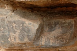 Arte rupestre, Preistoria: Incisione di tre bovini nel massiccio di Uweinat, Sudan da Unbekannt