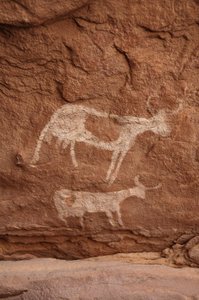 Arte rupestre, Preistoria: Pittura rupestre di due mucche con grandi corna in un rifugio ornato, nel massiccio di Uweinat, Sudan
