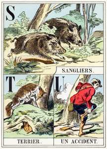 S T U: Cinghiale, Terrier, Un incidente - L