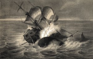 Naufragio della baleniera "Essex" il 20 novembre da Unbekannter Künstler