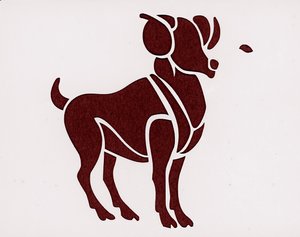 Segno zodiacale: l