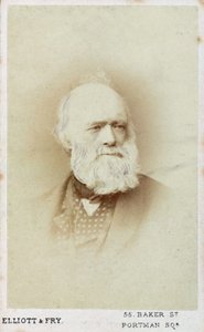 Sir Charles Lyell, geologo inglese, c1865-1875