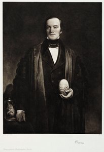 Sir Richard Owen, naturalista e paleontologo inglese, c 1845