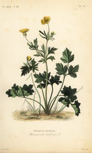 San da Unbekannt