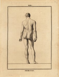 Statua di Oreste, nudo, figlio di Agamennone nella mitologia greca da Unbekannt