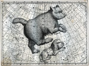 Le costellazioni boreali: l