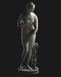 La Venere Jenkins da Unbekannt