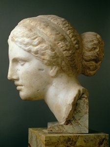 La Testa di Kauffmann, romana