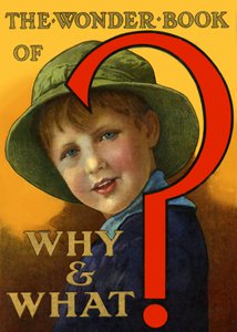 Il libro delle meraviglie del perché e del cosa da Unbekannt