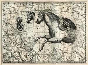 La costellazione di Pegaso, disegnata come la metà anteriore di un cavallo con un paio di ali, il Cavallino, una testa di cavallo e il Delfino. Incisione da "Les étoiles et les autres curiosités du ciel" di Camille Flammarion