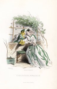La fata del tubero e un elfo narciso sono corteggiati su una panchina da giardino, accanto a un muro - Acquaforte di Charles Geoffroy (1819-1882), basata su un