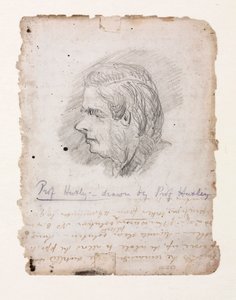 Thomas Henry Huxley, biologo inglese, metà-fine XIX secolo