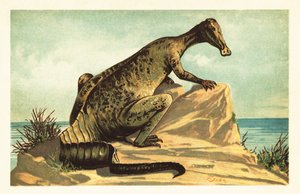 Trachodon mirabilis, dinosauro hadrosauride estinto. 1908 (litografia) da Unbekannter Künstler