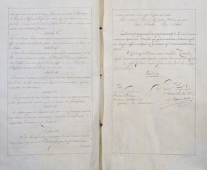 Trattato di Pace e Amicizia Eterna tra Francia e Russia, firmato a Parigi il 20 luglio da Unbekannt