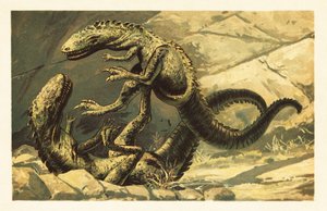 Due Dryptosaurus aquilunguis che combattono. 1908 da Unbekannter Künstler