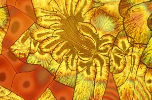 VITAMINE, LM Miscela di acido ascorbico/sodio da Unbekannt