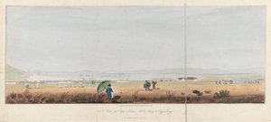 Veduta di Città del Capo, Table Bay e le colline di Tygerberg (Sudafrica). Litografia di J.W. Burchell da Unbekannter Künstler