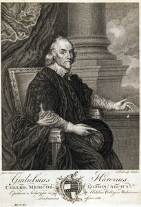 William Harvey, medico inglese