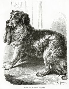Con le pantofole del suo padrone 1902 da Unbekannt