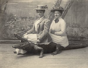 Donne sedute su un alligatore imbalsamato, c.1905 (foto in bianco e nero) da Unbekannter Künstler