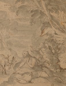 Disegno