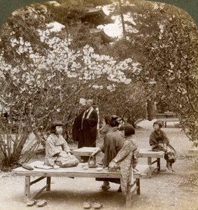 Una famiglia che si gode un picnic sotto i ciliegi in fiore, Omuro Gosho, Kyoto, Giappone, 1904 da Underwood and Underwood