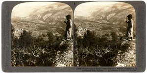 Una piantagione di bachi da seta nelle montagne del Libano, Siria, 1900 da Underwood and Underwood