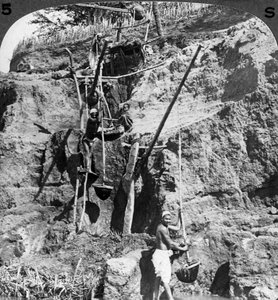 Uno shaduf egiziano che solleva le acque del Nilo nei campi assetati, Egitto, 1905