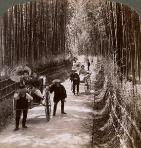 Viale di bambù, guardando a sud-ovest, vicino a Kiyomizu, Kyoto, Giappone da Underwood and Underwood