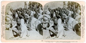 Prigionieri Boxer catturati e portati dalla 6ª Cavalleria degli Stati Uniti, Tientsin, Cina, 1901 da Underwood and Underwood