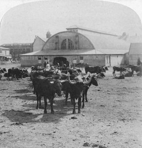 Edificio in cui furono processati i prigionieri di guerra, Pretoria, Sudafrica, Guerra Boera, 1901 da Underwood and Underwood