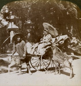 Ragazza che nutre cervi sacri mentre va a pregare, giardini del Tempio Kasuga, Nara, Giappone, 1904 da Underwood and Underwood