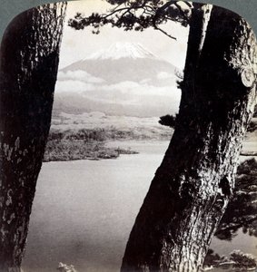 Monte Fuji, visto da nord-ovest, attraverso i pini al Lago Motosu, Giappone, 1904 da Underwood and Underwood
