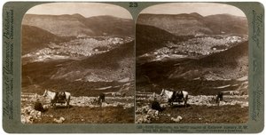 Sichem, sud-ovest dal Monte Ebal, Palestina, anni 1900